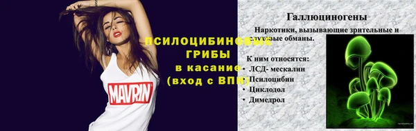 крисы Нея