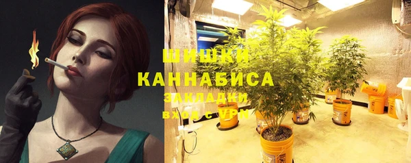крисы Нея