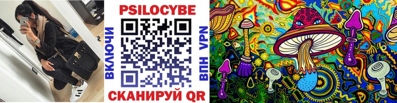Купить закладки Конаково Псилоцибиновые грибы мицелий